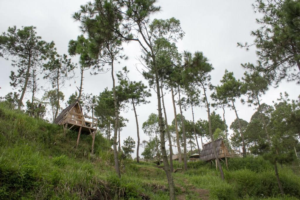 Papandayan Camping Ground Hotel Cileuleuy Esterno foto