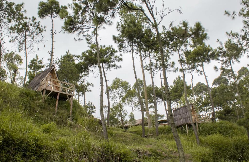 Papandayan Camping Ground Hotel Cileuleuy Esterno foto