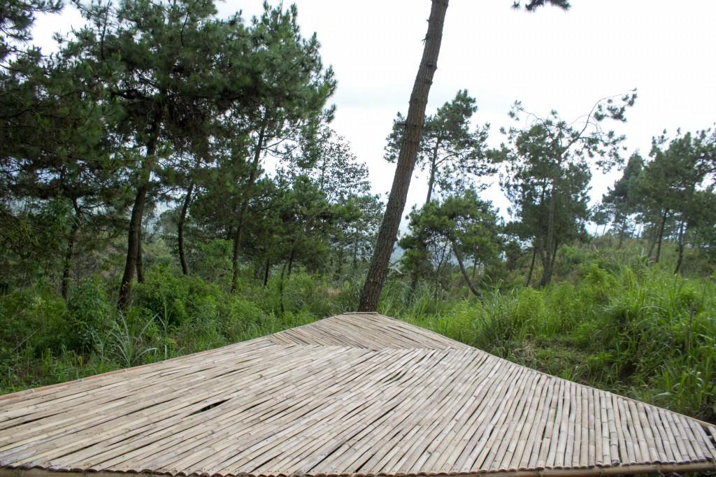 Papandayan Camping Ground Hotel Cileuleuy Esterno foto