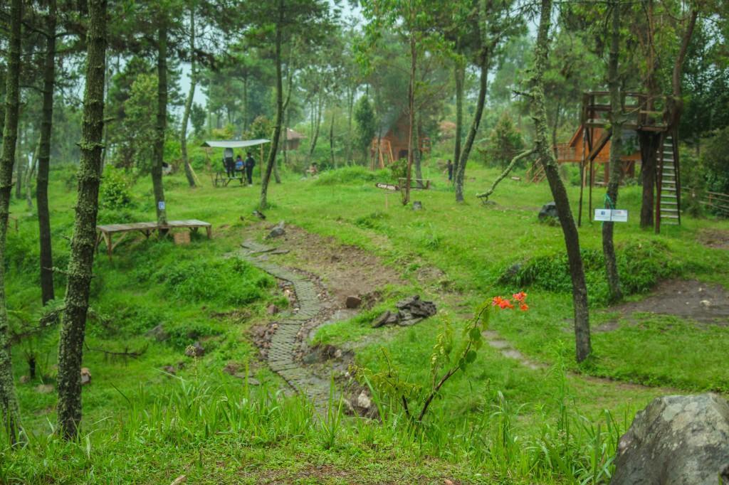Papandayan Camping Ground Hotel Cileuleuy Esterno foto